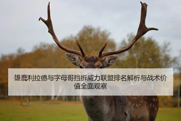 雄鹿利拉德与字母哥挡拆威力联盟排名解析与战术价值全面观察